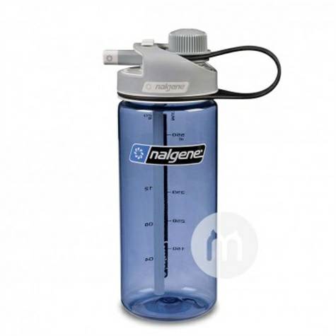 Nalgene미국휴대용밀짚컵 650ml 해외버전