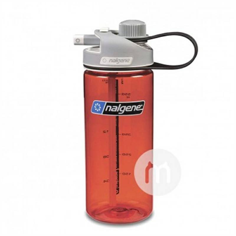 Nalgene미국휴대용밀짚컵 650ml 해외버전