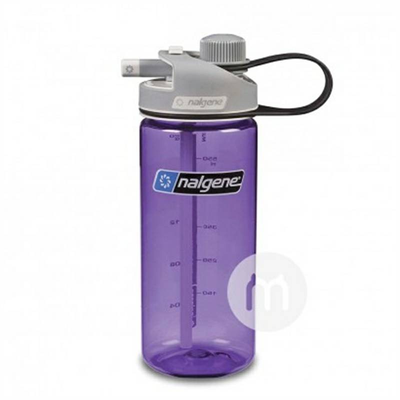 Nalgene미국휴대용밀짚컵 650ml 해외버전