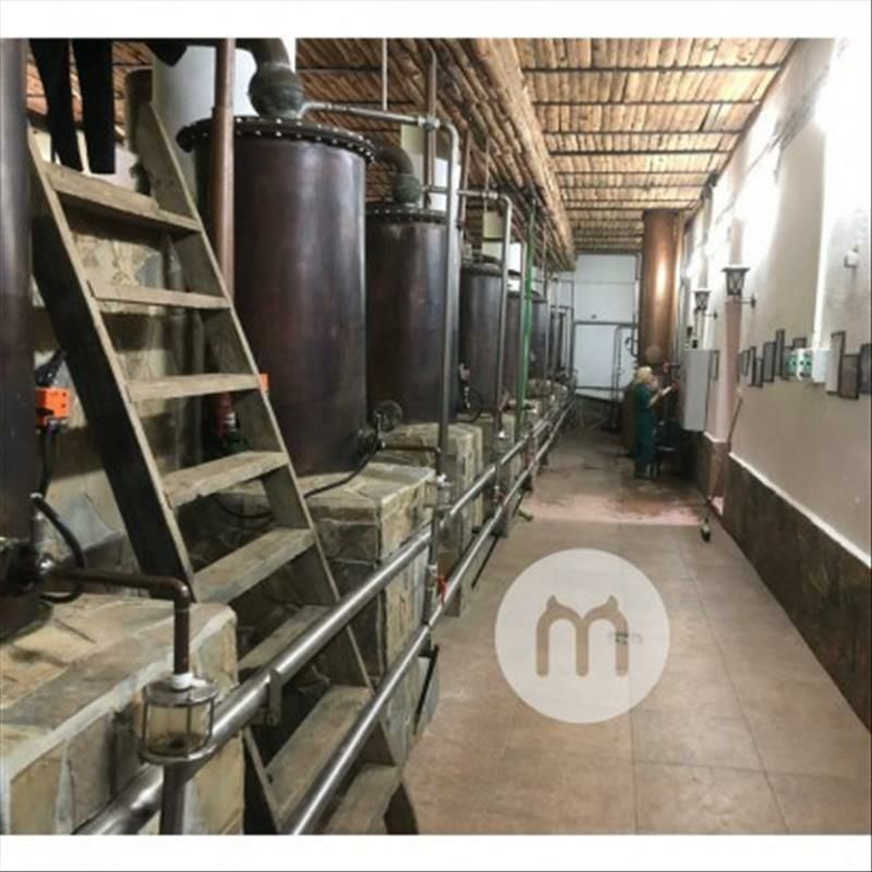 StarRider Elements 독일유기농로즈워터 100ml 해외버전