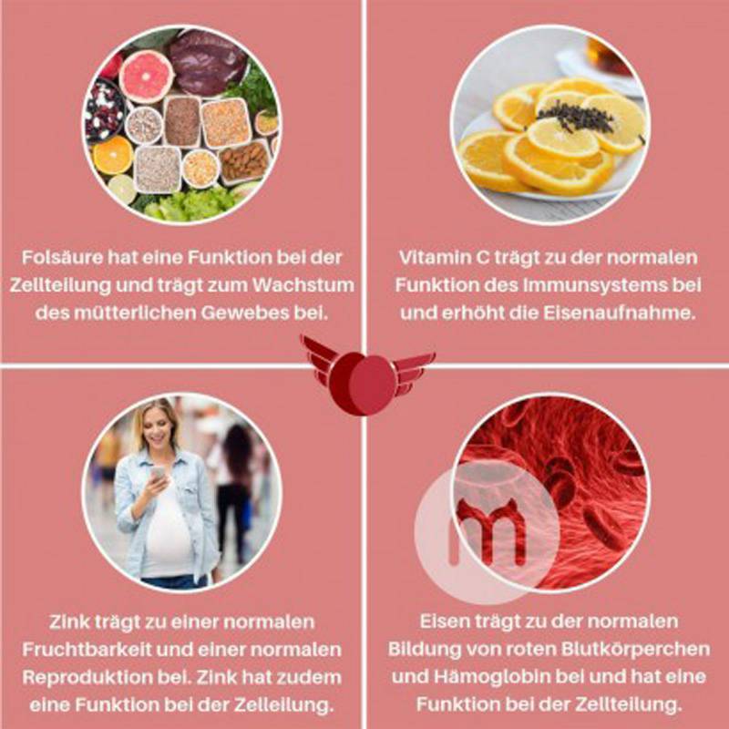 Cherry Wings독일체리윙엽산영양보충제캡슐해외버전