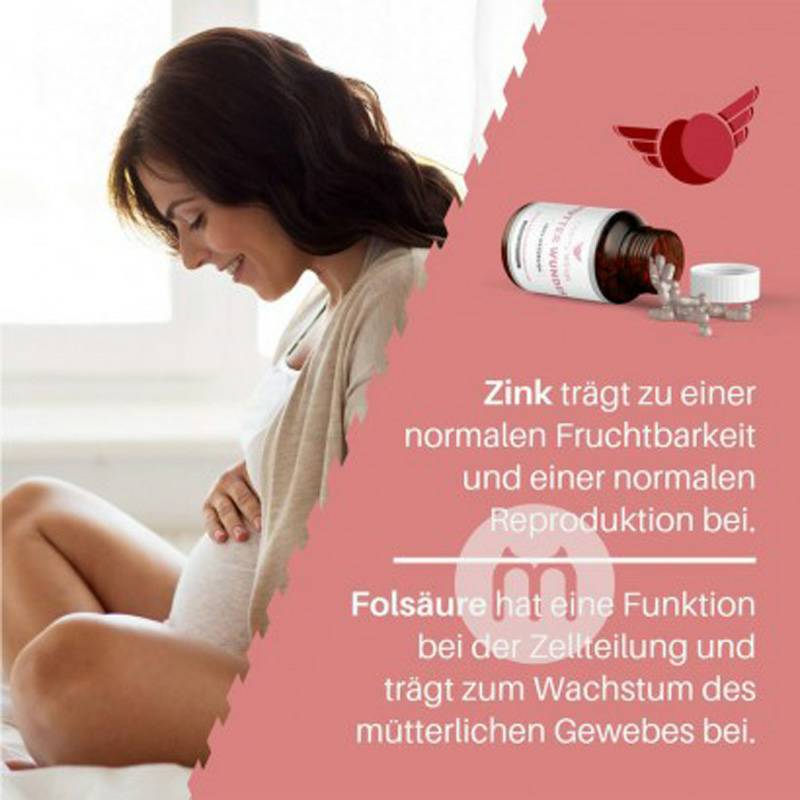 Cherry Wings독일체리윙엽산영양보충제캡슐해외버전