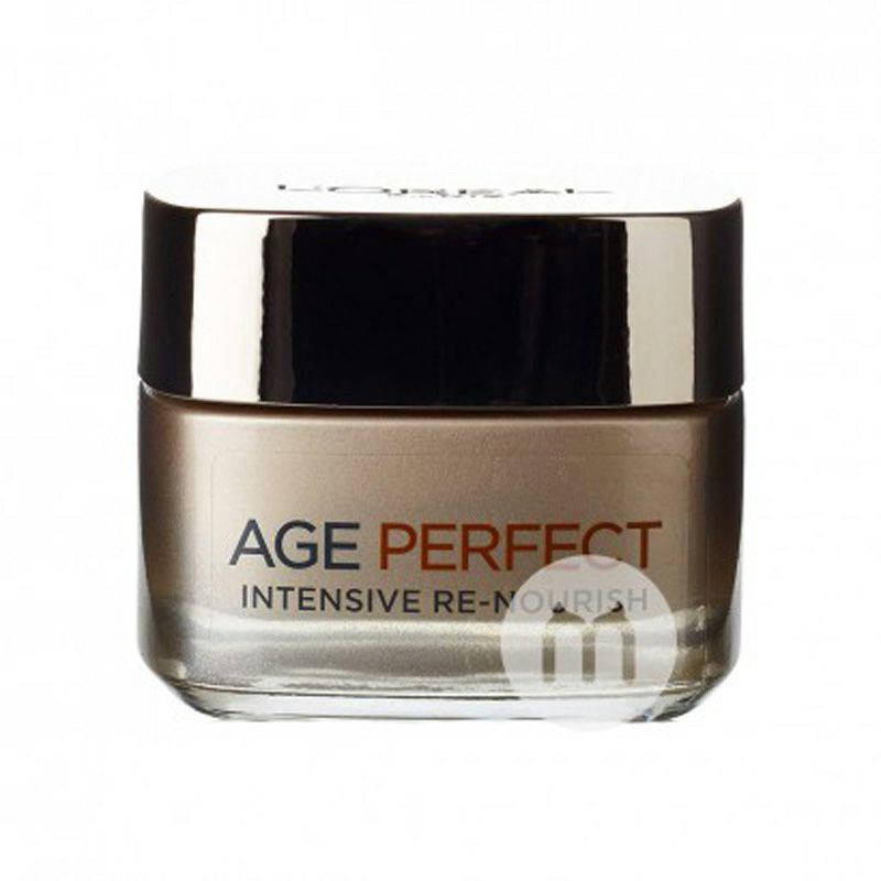 L OREAL파리딥뉴리싱앤리스토러티브데이크림오버사이즈