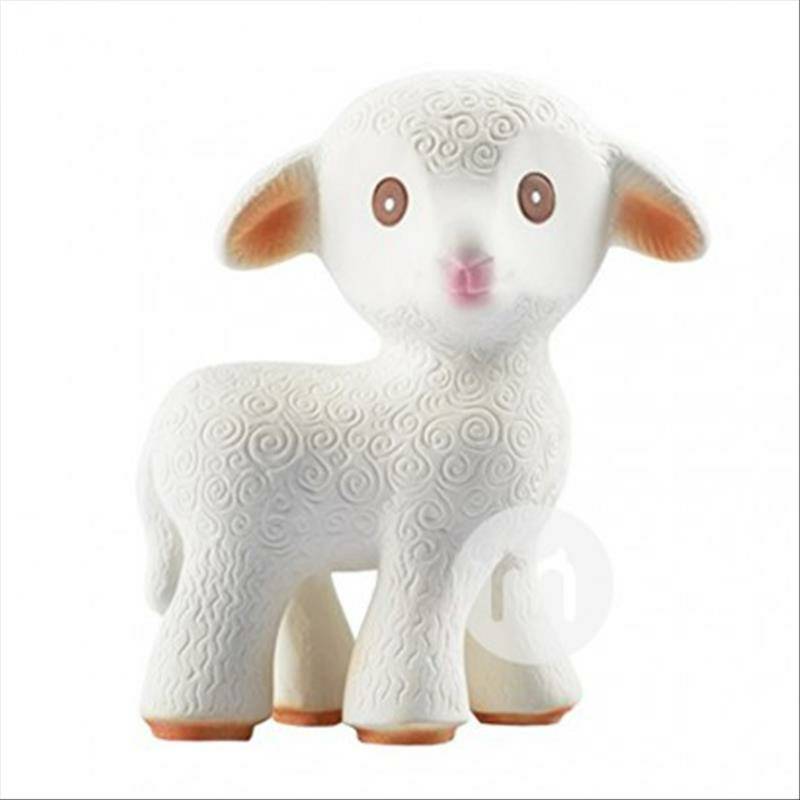 Caaocho 아기염소어금니치아접착제 0 개월이상해외버전