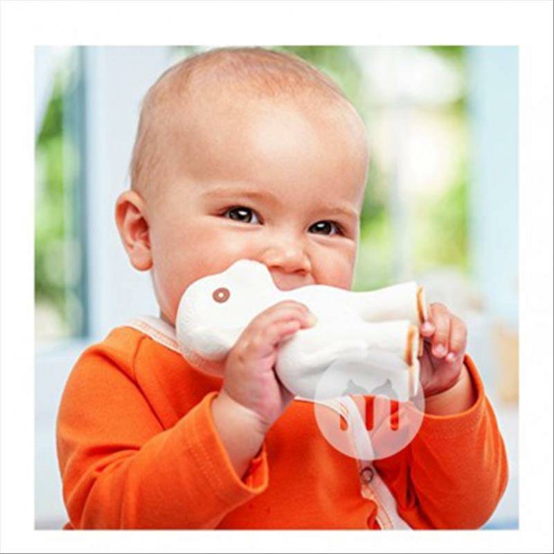 Caaocho 아기염소어금니치아접착제 0 개월이상해외버전