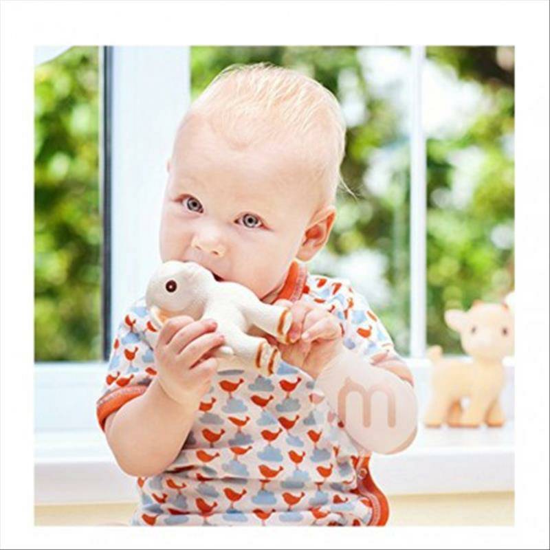 Caaocho 아기염소어금니치아접착제 0 개월이상해외버전