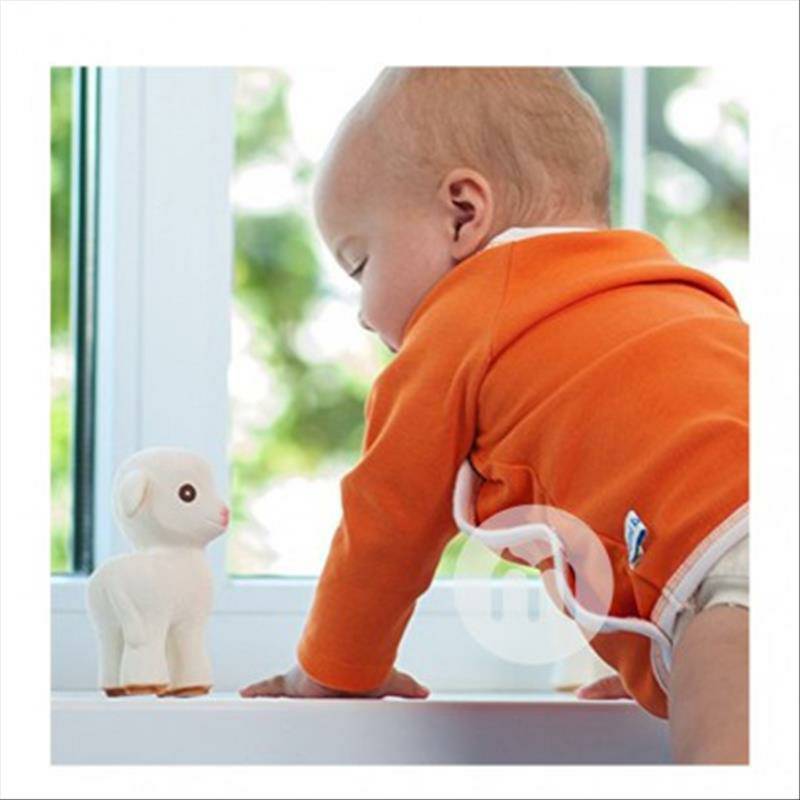 Caaocho 아기염소어금니치아접착제 0 개월이상해외버전