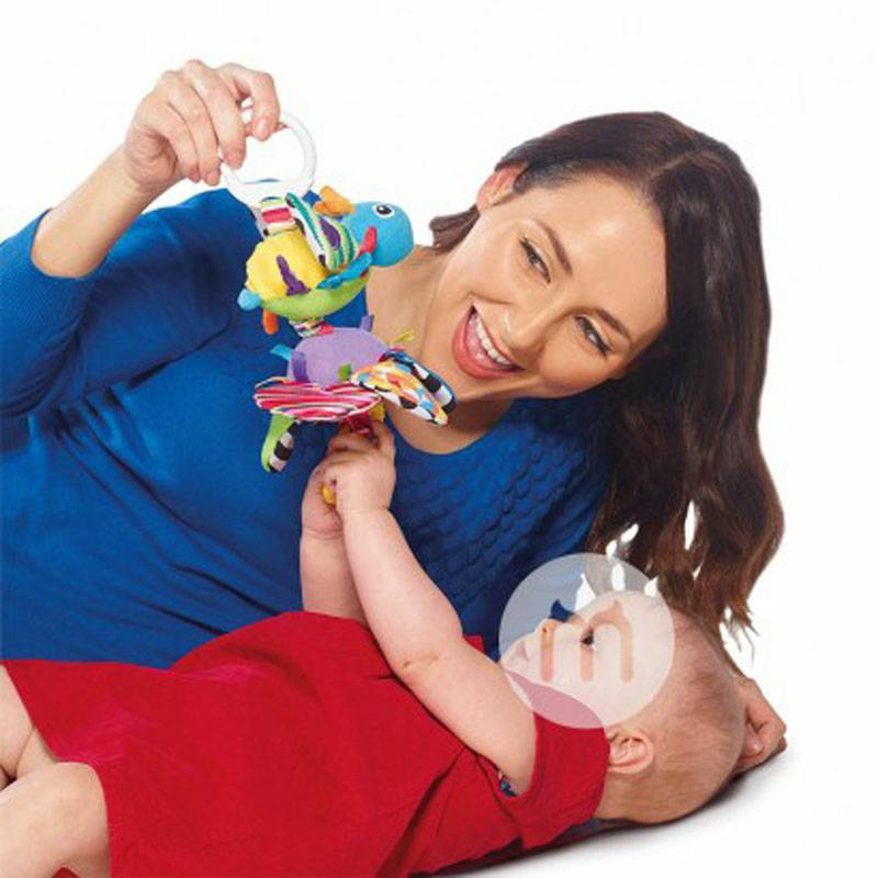 Lamaze 미국떨고딱정벌레해외버전