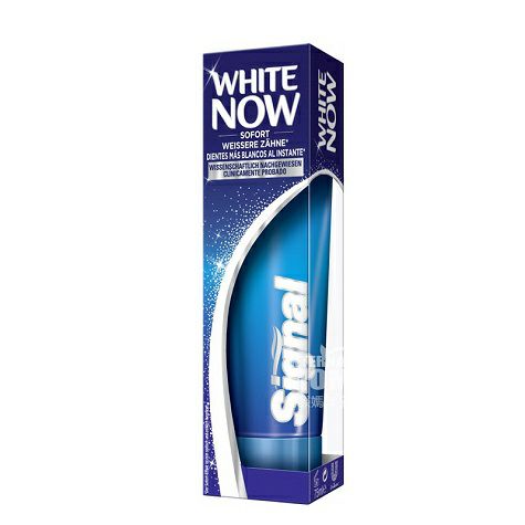 Signal 독일아이스민트화이트닝성인치약해외판