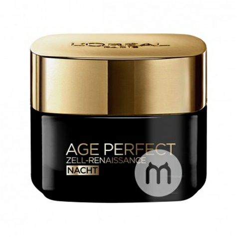 L OREAL Paris 셀룰러회춘나이트크림해외판