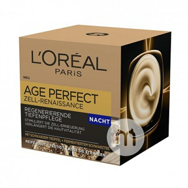 L OREAL Paris 셀룰러회춘나이트크림해외판