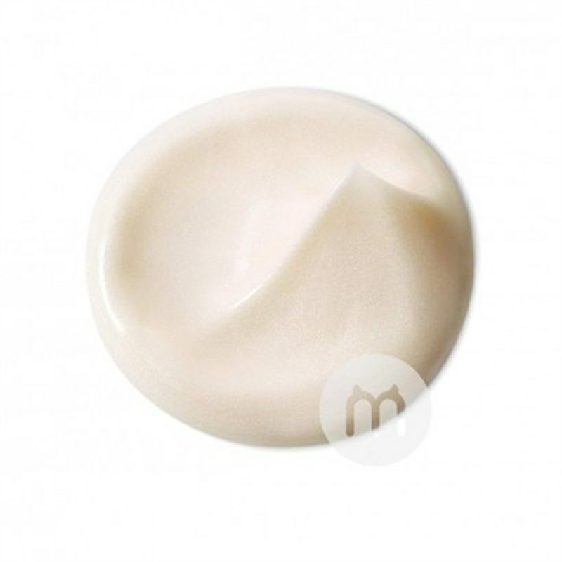 L OREAL Paris 셀룰러회춘나이트크림해외판