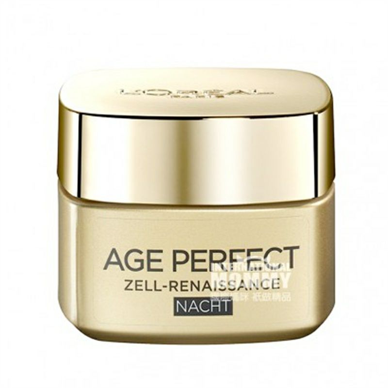 L OREAL Paris 셀룰러회춘나이트크림해외판