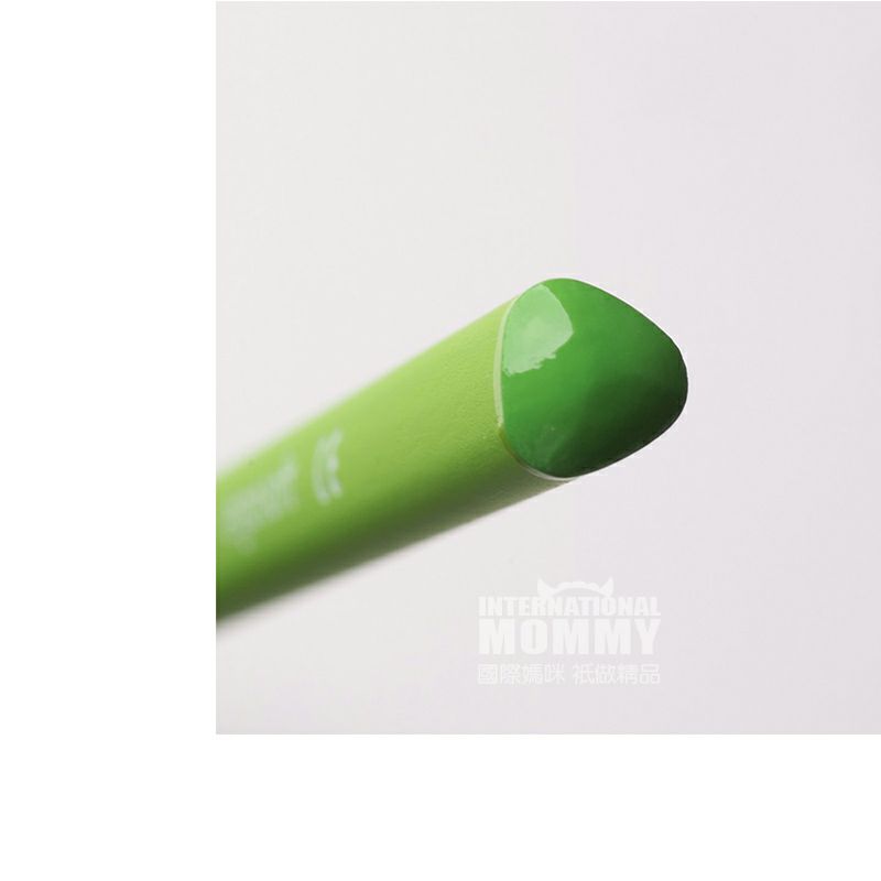 STAEDTLER 독일 24 색수용성컬러연필해외판