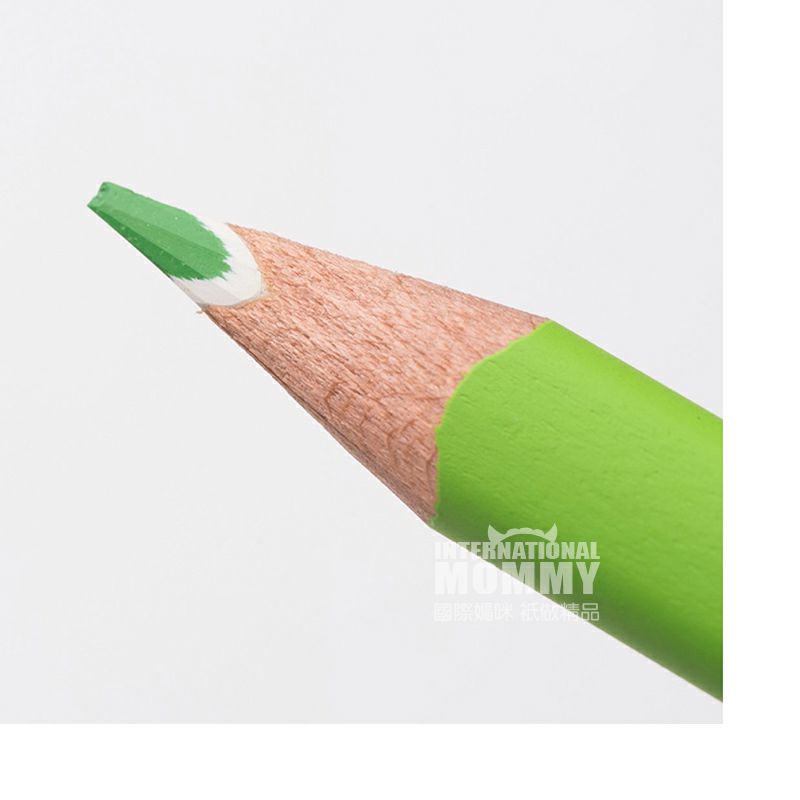 STAEDTLER 독일 24 색수용성컬러연필해외판