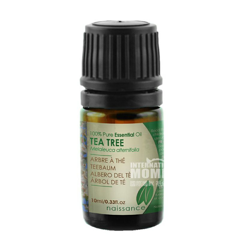 Naissance 영국티트리오일해외판