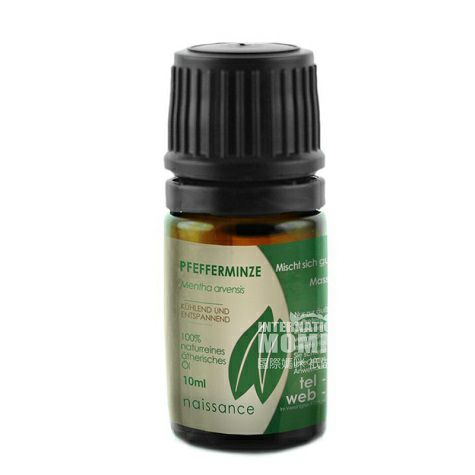 Naissance 영국 Mint 에센셜오일해외버전