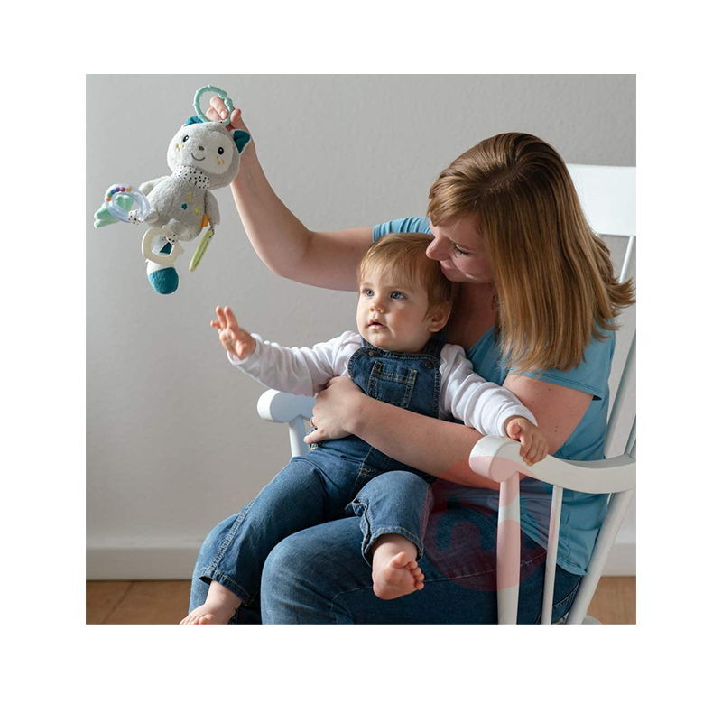 FEHN 활동 스킬 토이 다기능 고양이 해외 현지 오리지널