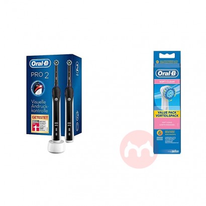 BRAUN 독일 oral-b PRO 2900 전동칫솔 2팩 + ...
