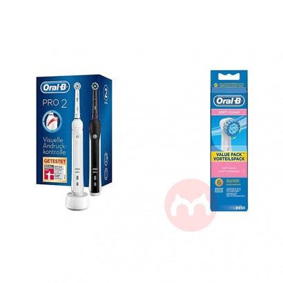 BRAUN 독일 oral-b PRO 2900 전동칫솔 2팩 + ...