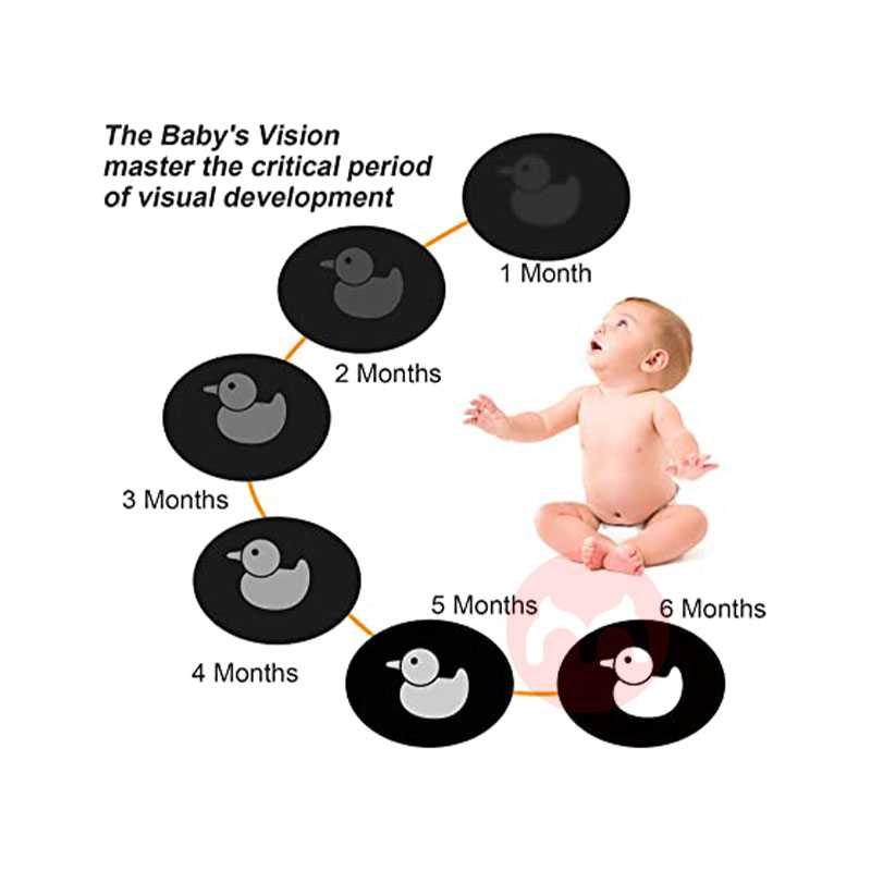 Funvce 독일 Funvce 아기 시각 자극 흑백 카드 해외 현지 오리지널